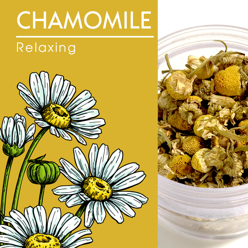 Chamomile