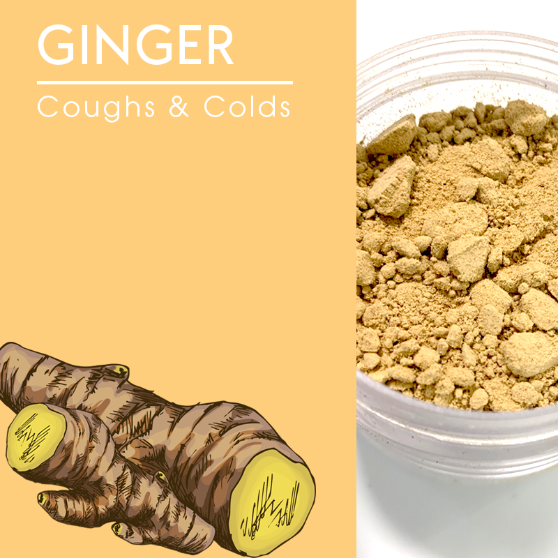 Ginger, Ground