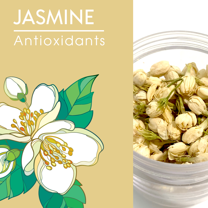 Jasmine Flower