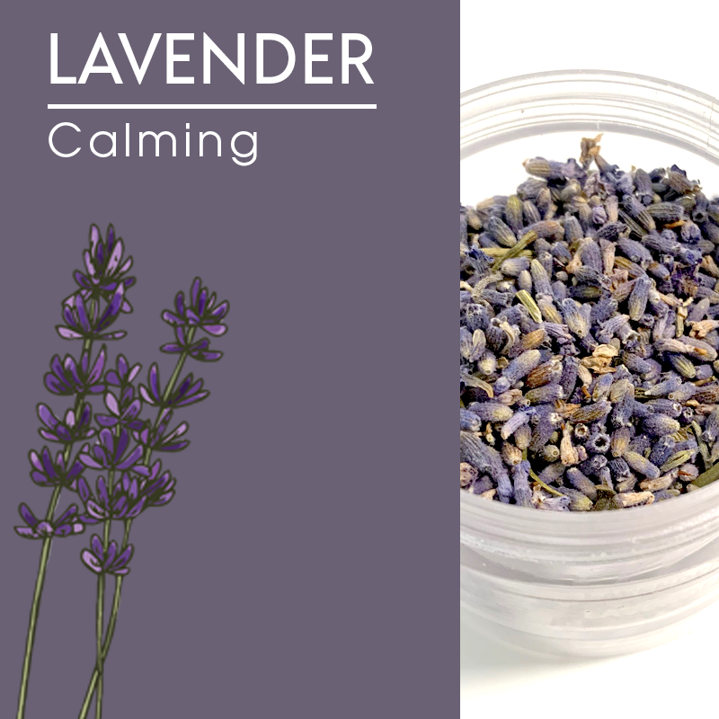 Lavender