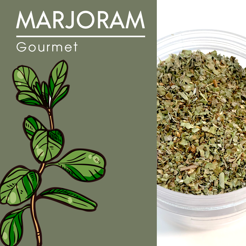 Marjoram