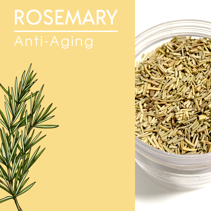 Rosemary