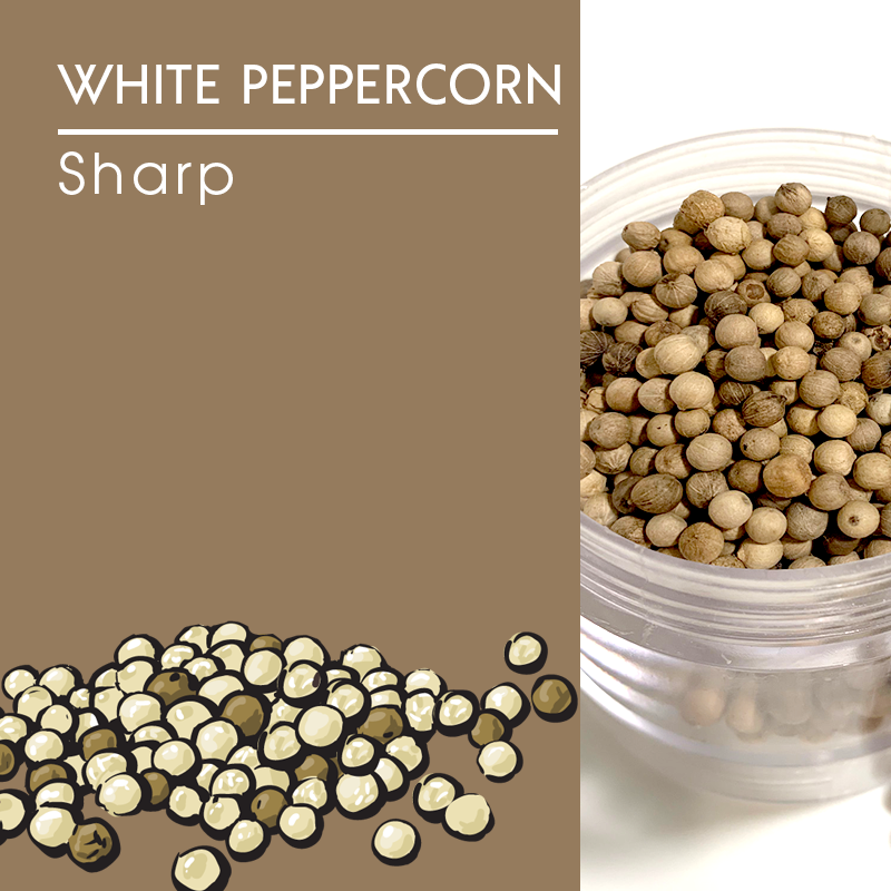 White Peppercorn